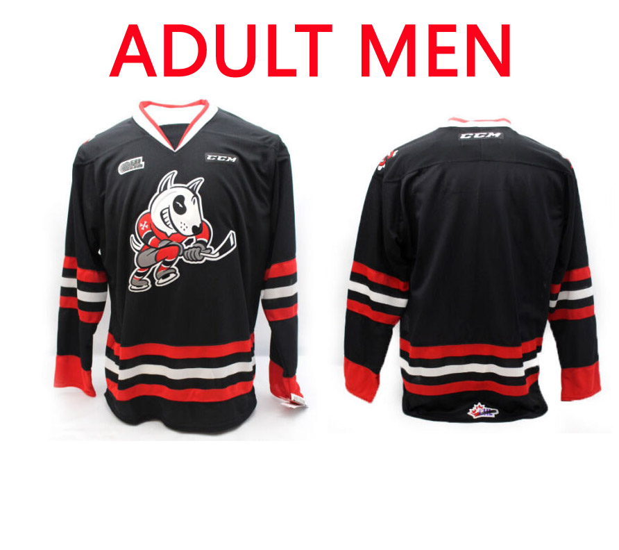 Men Custom Niagara Icedogs OHL Premier Edge Away Replica NHL Jersey Black CCM->indianapolis colts->NFL Jersey